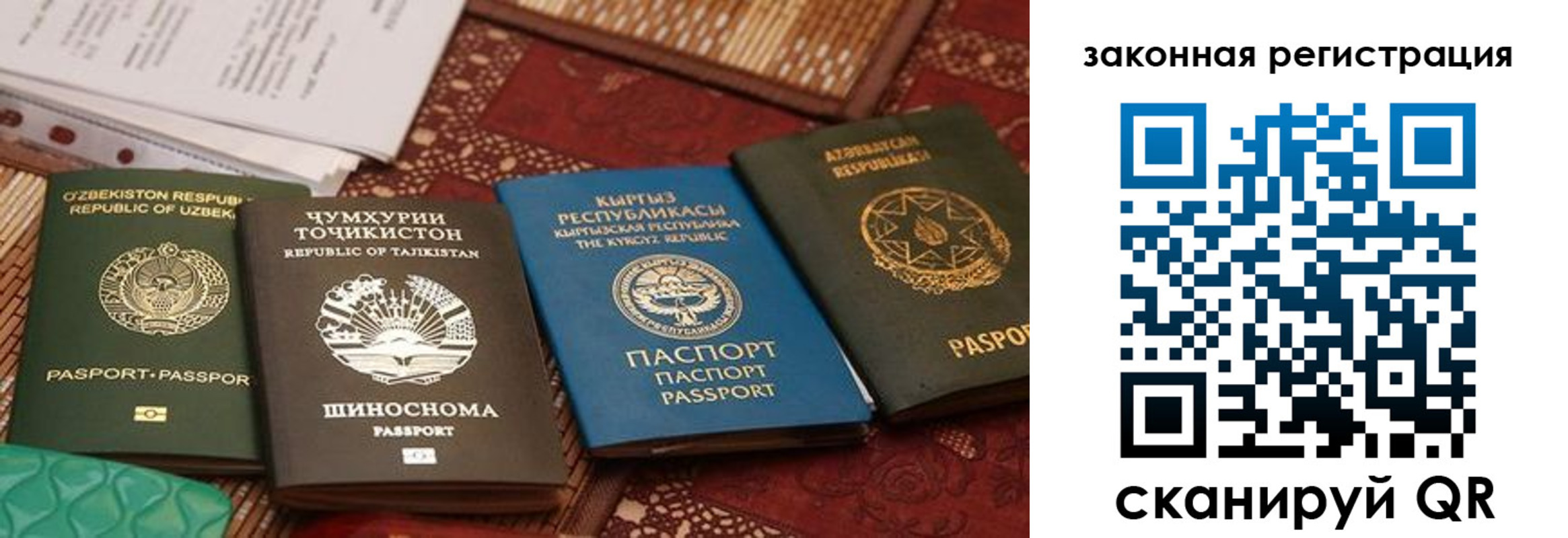 пропишу в квартире в Краснознаменске